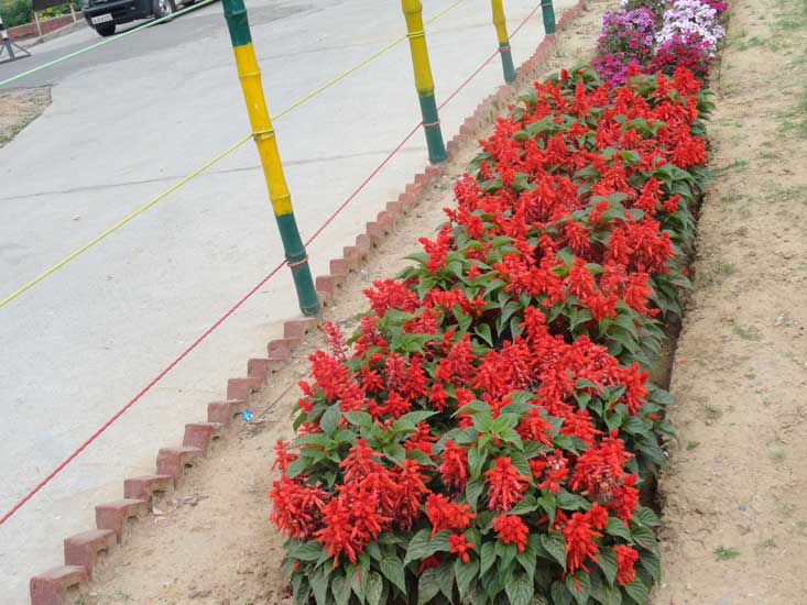 Temple Gardens